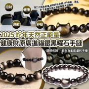 20943 - 2025蛇年天然正能量健康財原廣進貓銀黑曜石手鏈